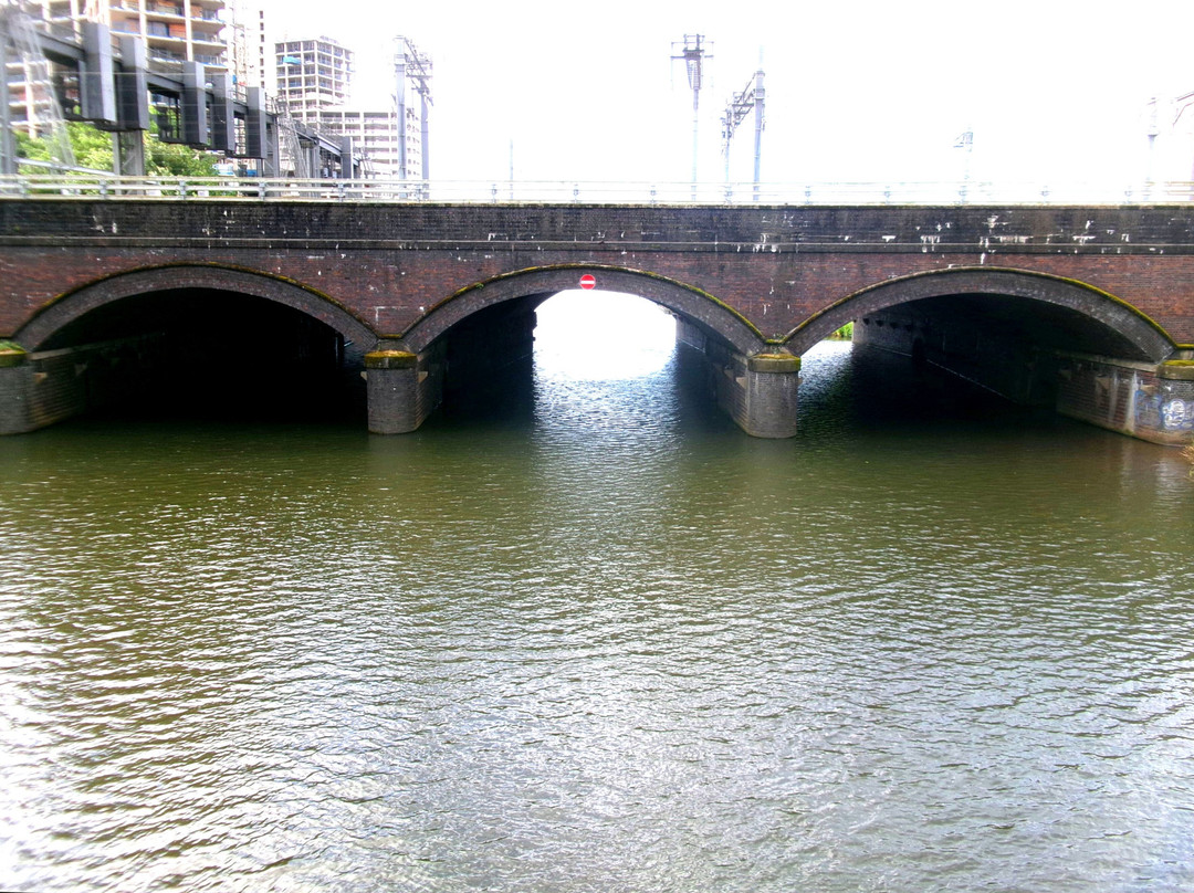 River Taff景点图片