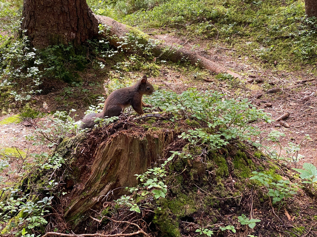 Wildsee-湖地必去景点