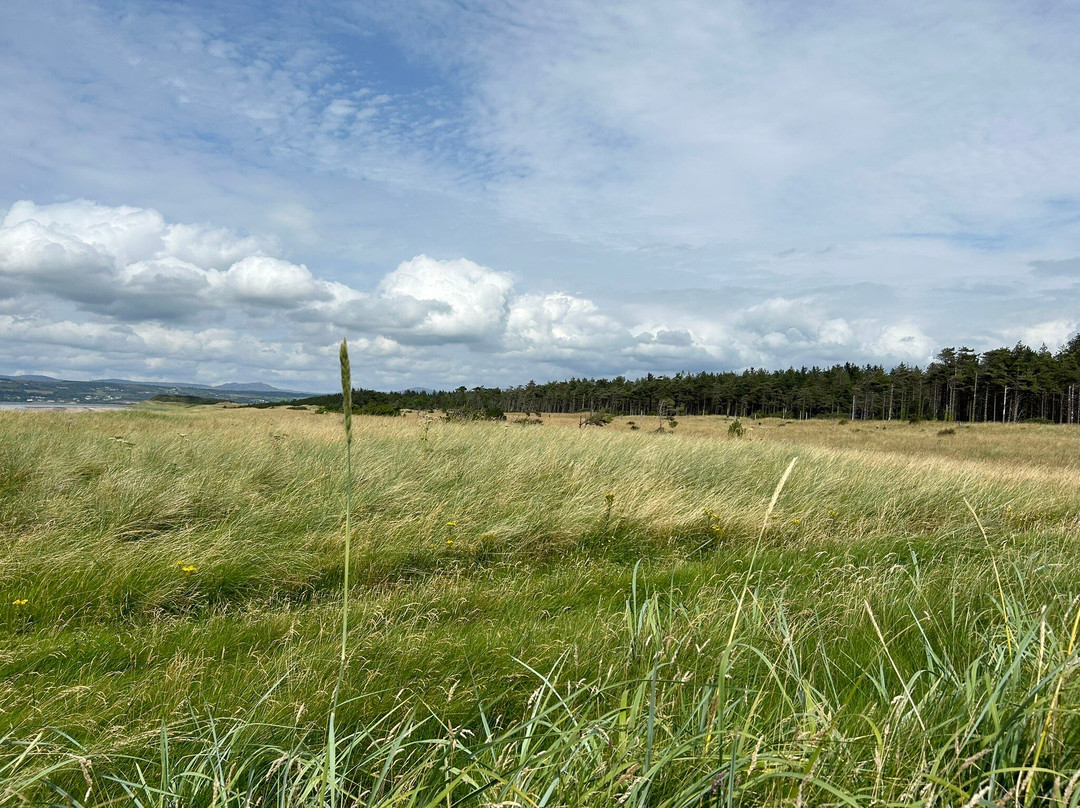 Murvagh Beach