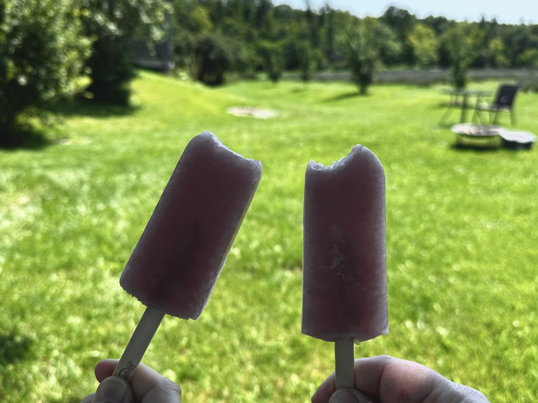Purple Haven Lavender Farm-Haldimand必去景点
