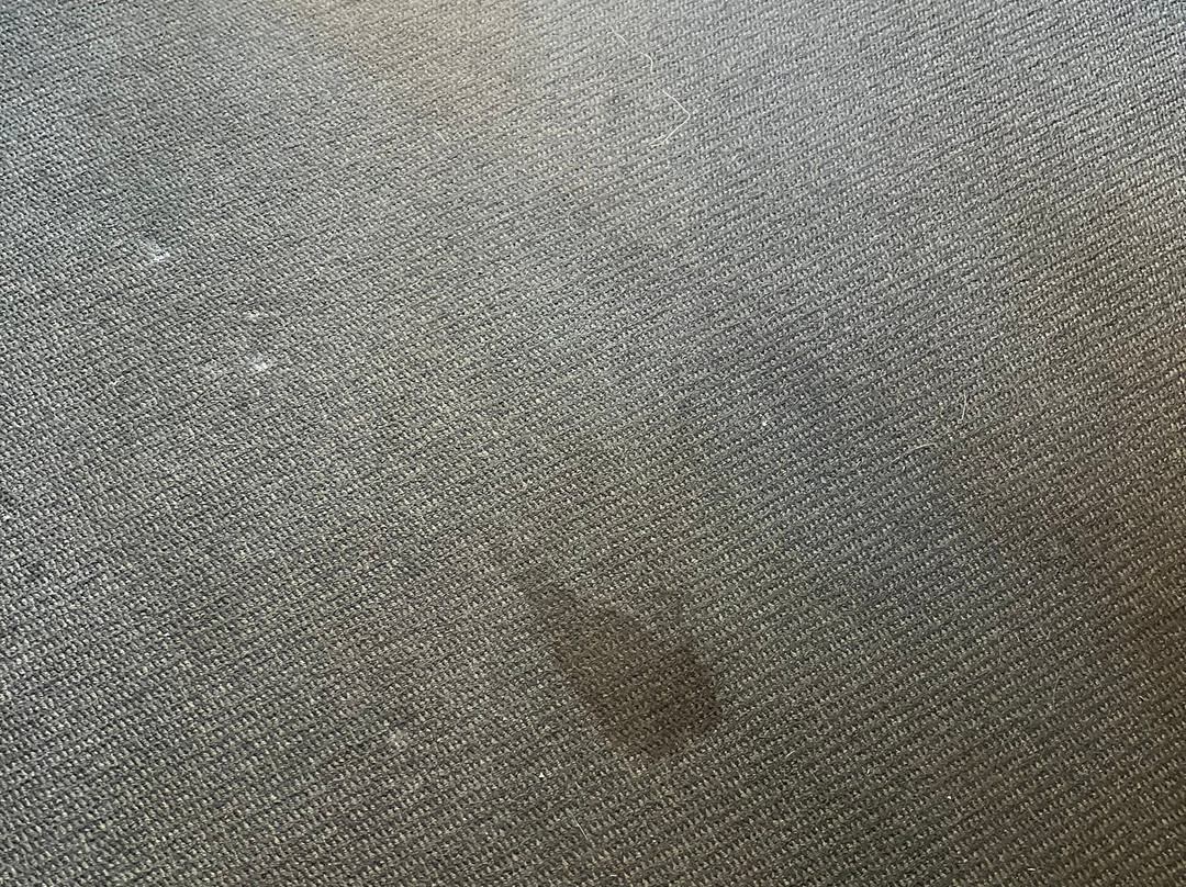 Bluestone Motor Inn主图