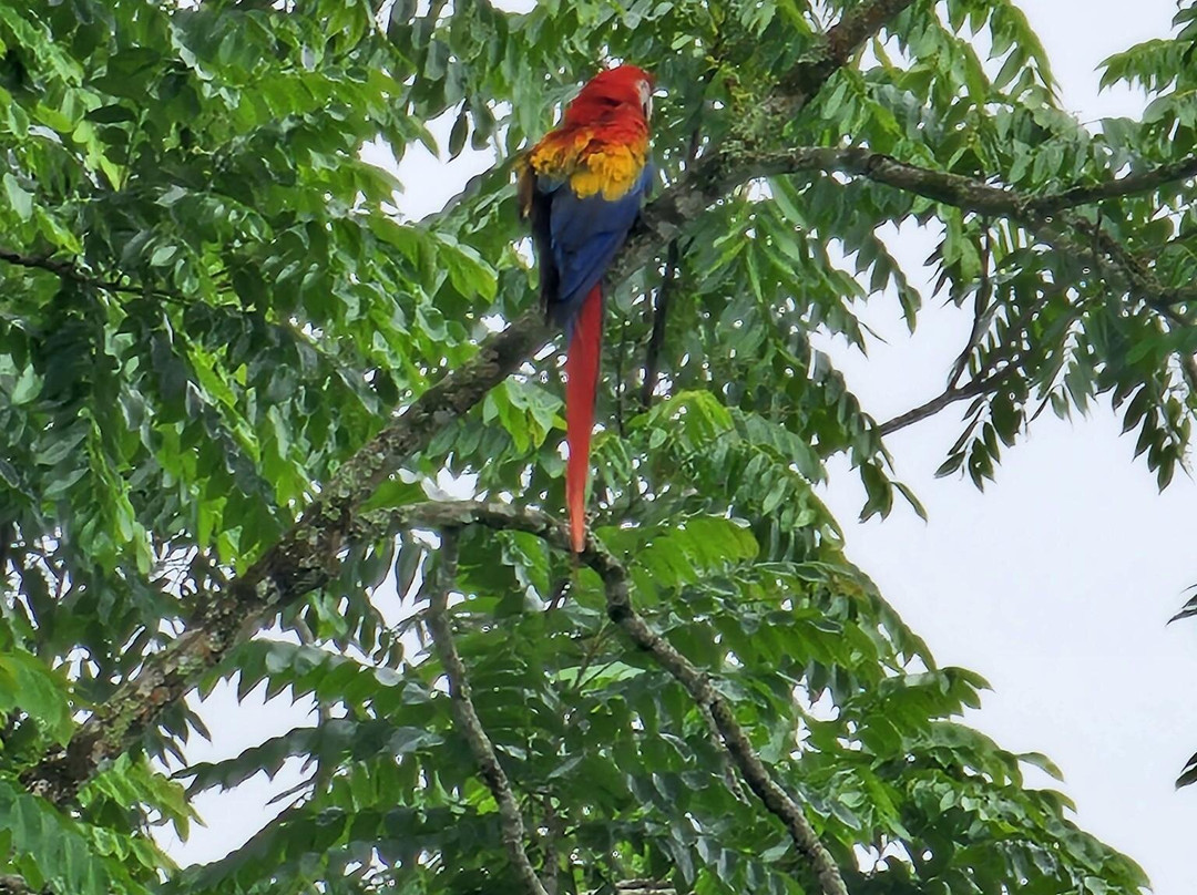 Costa Rica Experience景点图片