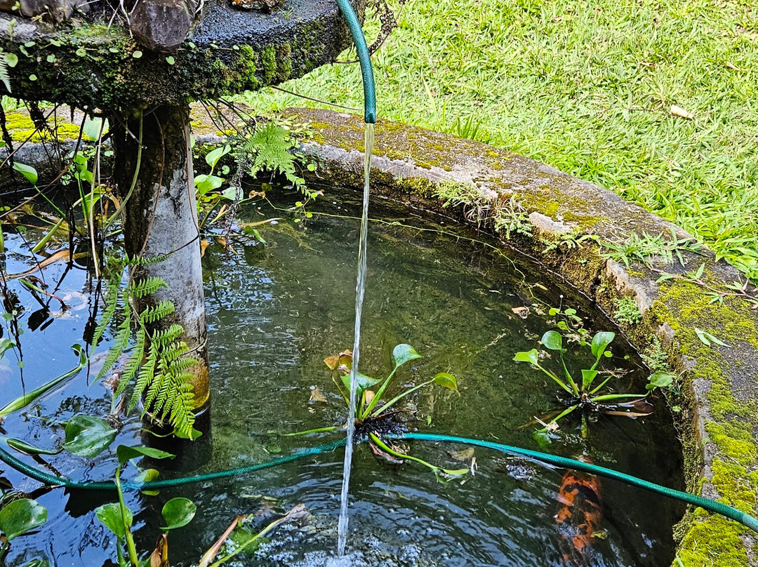 Pousada Do Escultor主图