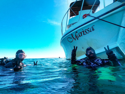 Marissa Dive Charters-圣地亚哥必去景点