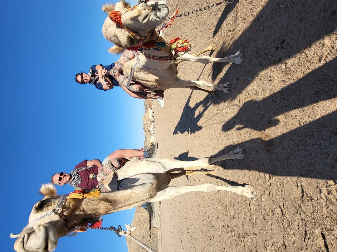 Amore Safari-马萨阿拉姆必去景点