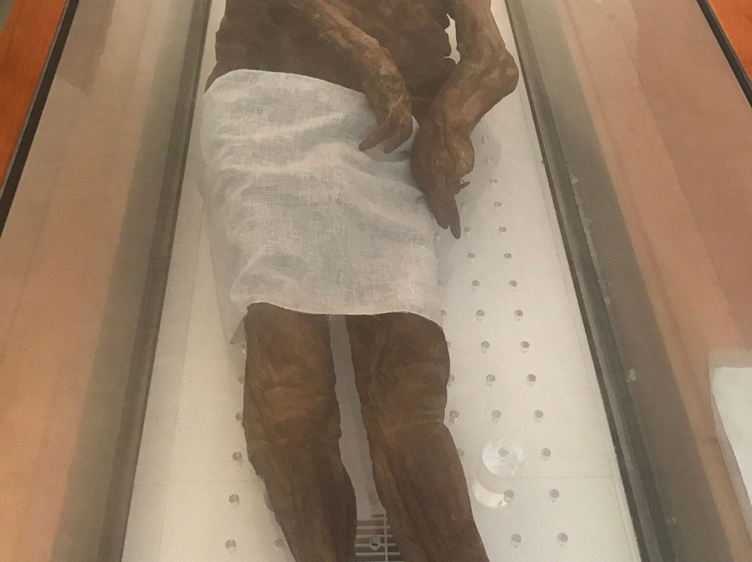 Cripta Cimiteriale di San Michele Mummie di Venzone景点图片