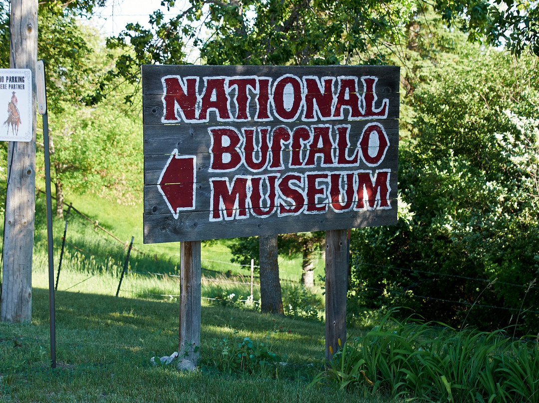 World's Largest Buffalo-Jamestown必去景点