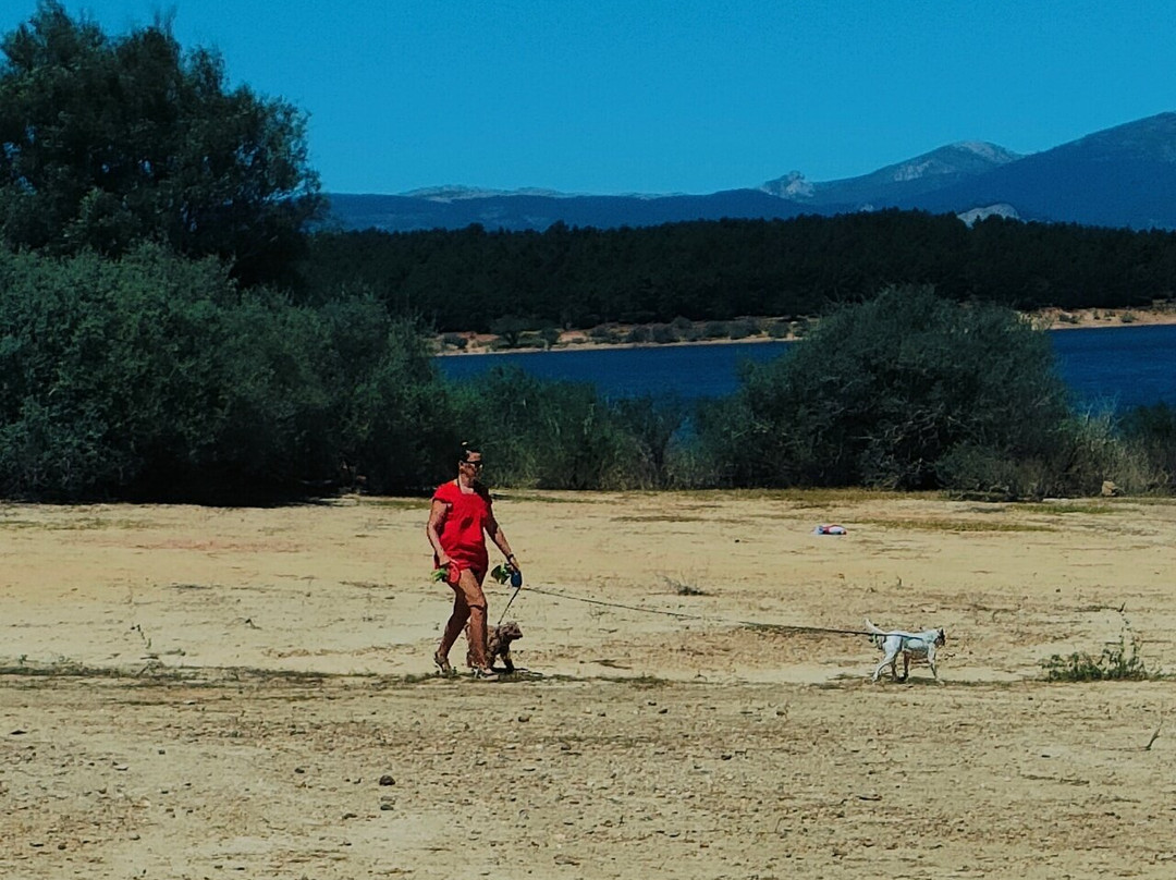 Playa De Aguilar De Campoo景点图片