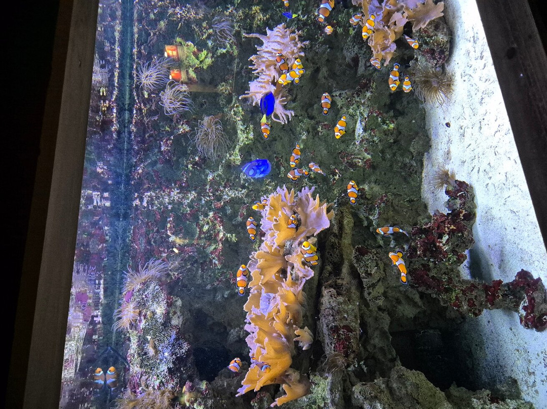 Aquarium de Vendée景点图片