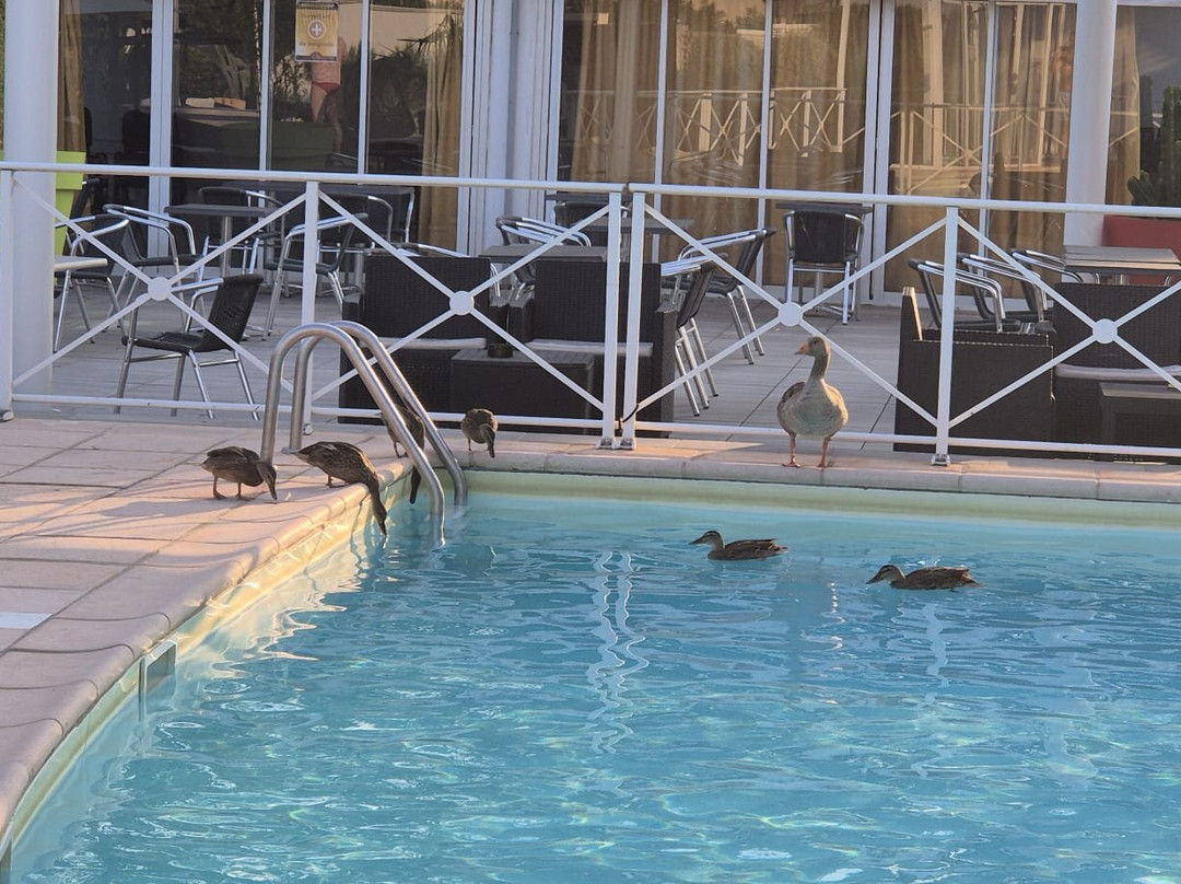 Hotel Le Phoebus Garden & Spa主图