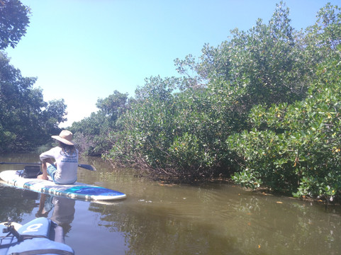 AMI Paddleboard-布雷登顿必去景点