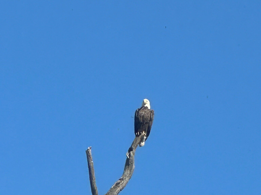 Green Acres Kayak Rental-Harrison必去景点