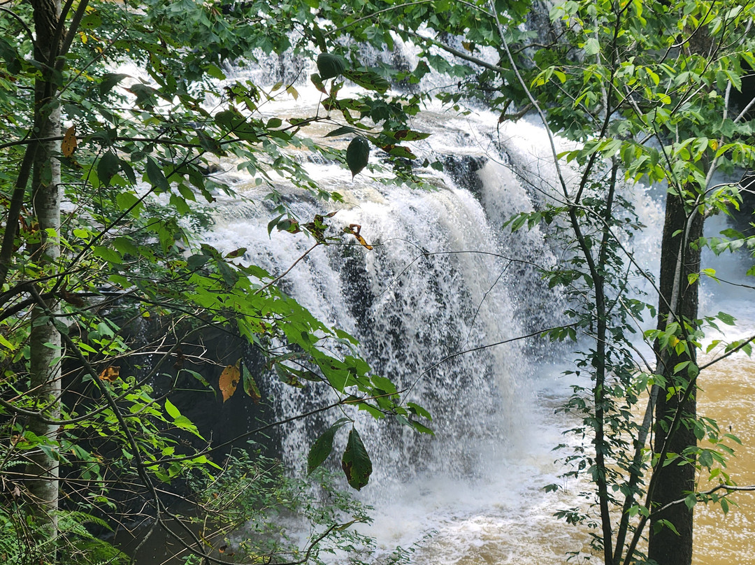 Brush Creek Falls景点图片