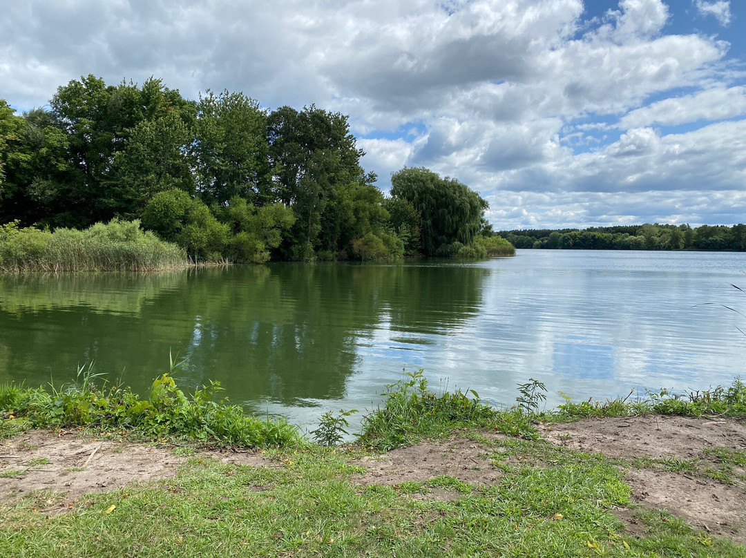 Pittock Conservation Area-Woodstock必去景点