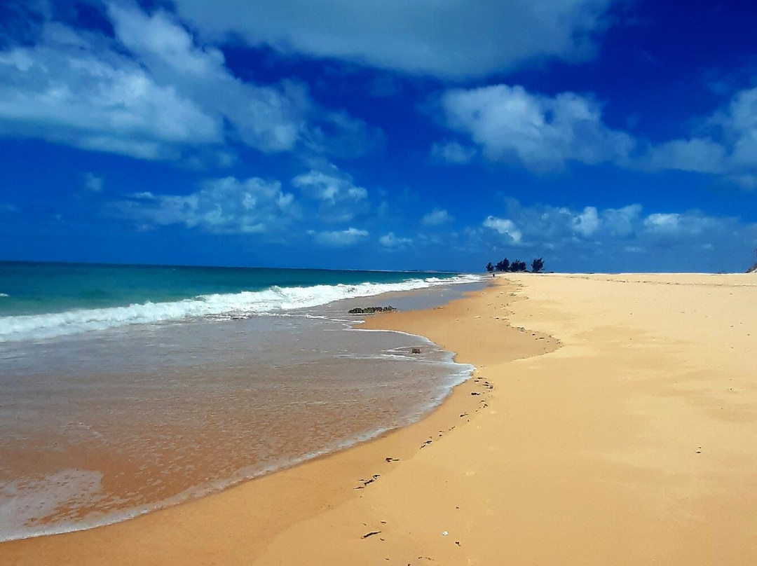 Parque Nacional de Bazaruto景点图片