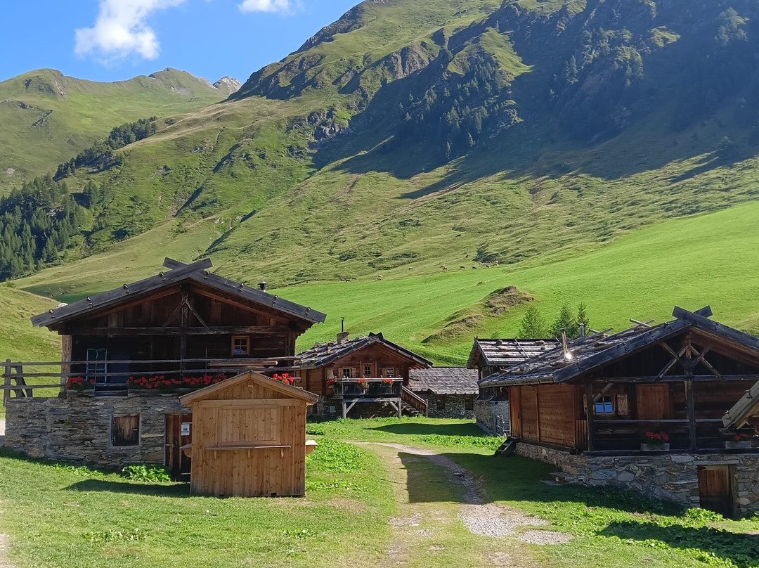 Malga Fane景点图片