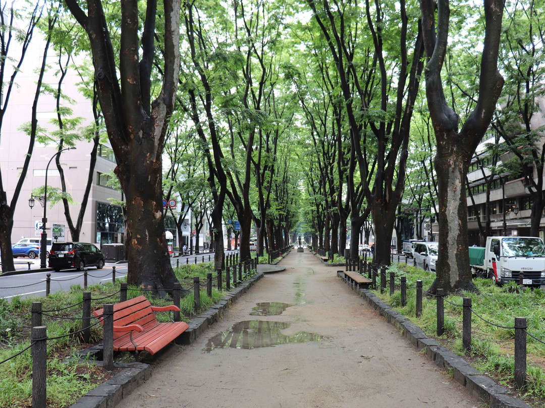 定禅寺大道•榉树林-仙台市必去景点