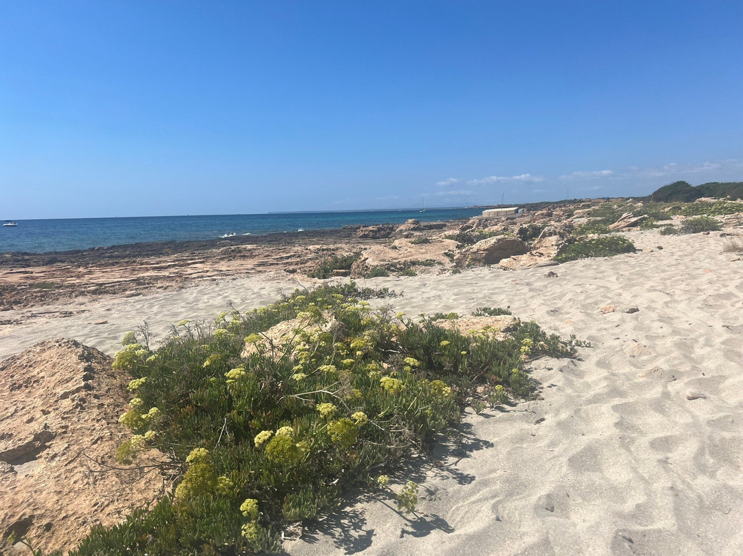 Platja Es Caragol-桑塔尼必去景点