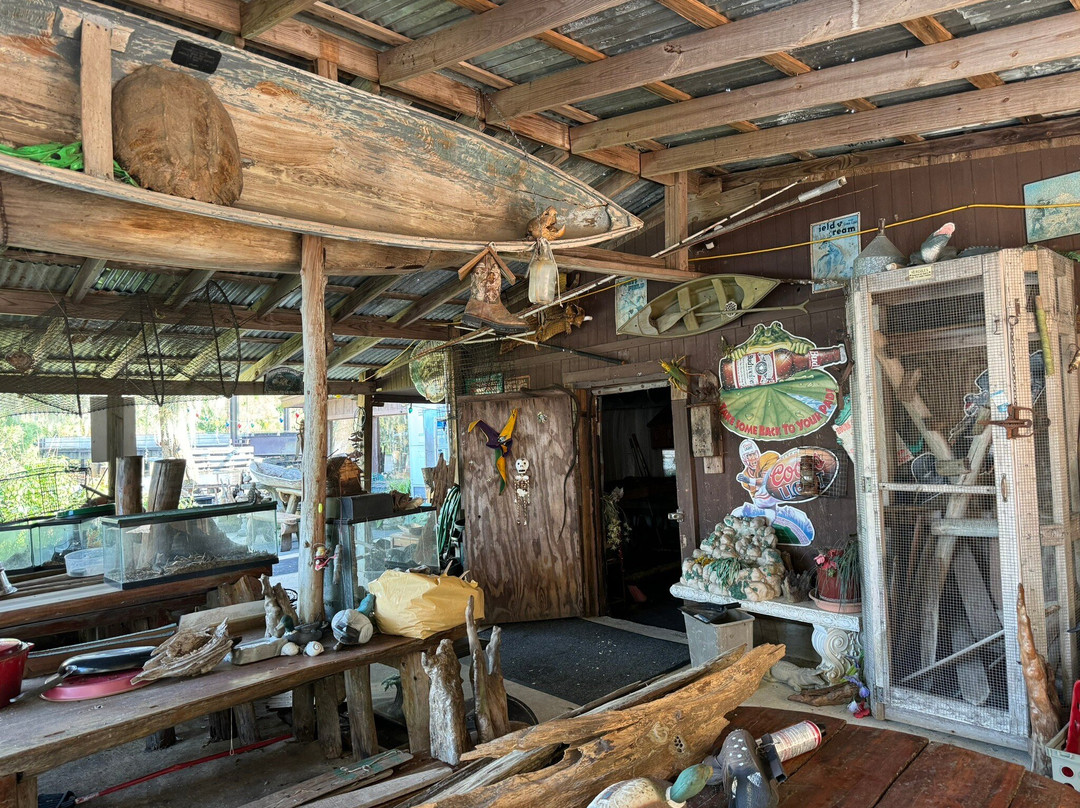 Zam's Bayou Swamp Tours景点图片