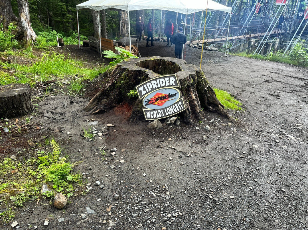 Icy Strait Point ZipRider-胡纳必去景点