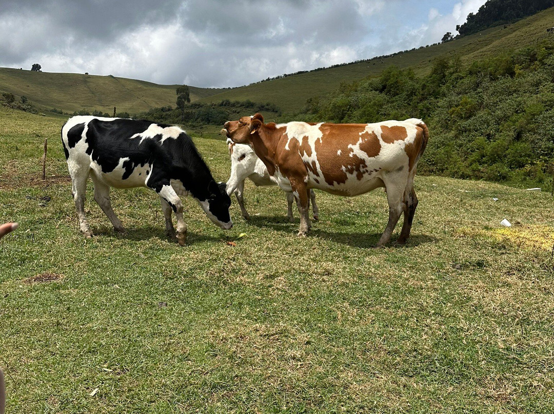 IBERE RYA BIGOGWE-Rubavu必去景点