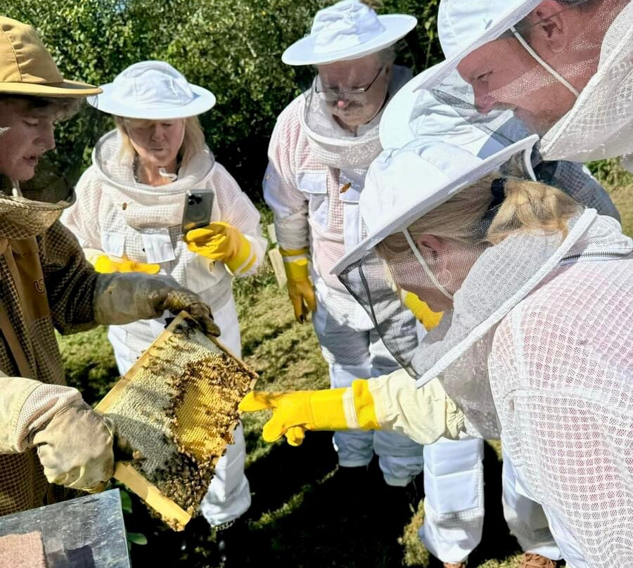 Dry Creek Beekeeping景点图片