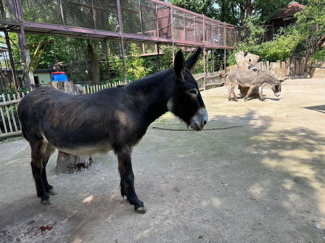Tierpark Hamm景点图片