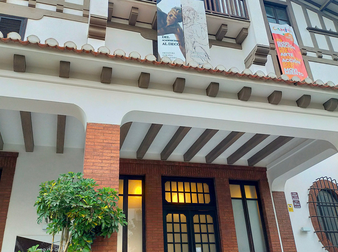 Museo de Arte Doña Pakyta-阿尔梅里亚省必去景点