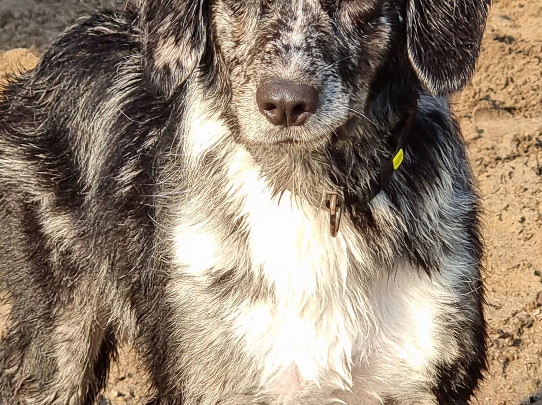 Van der Valk Naturresort Drewitz主图