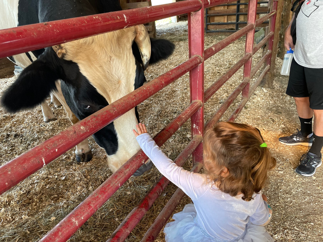Woodstock Farm Sanctuary景点图片