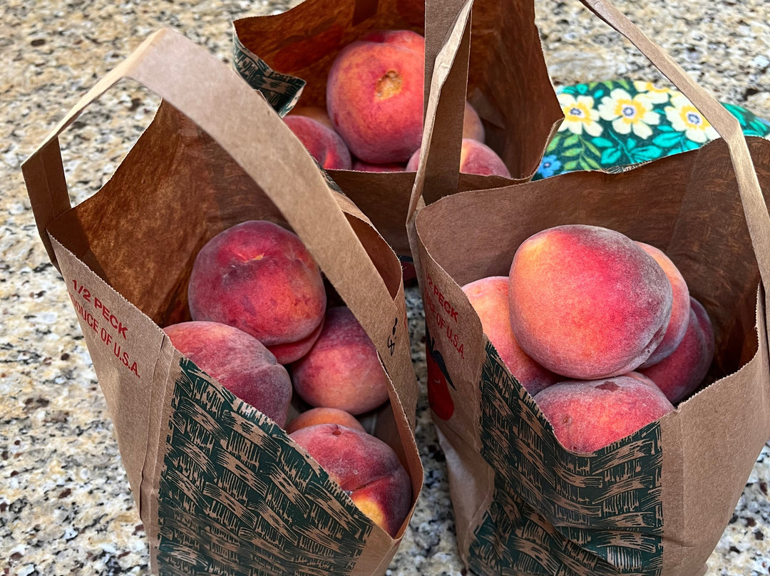 McDougal Orchards景点图片