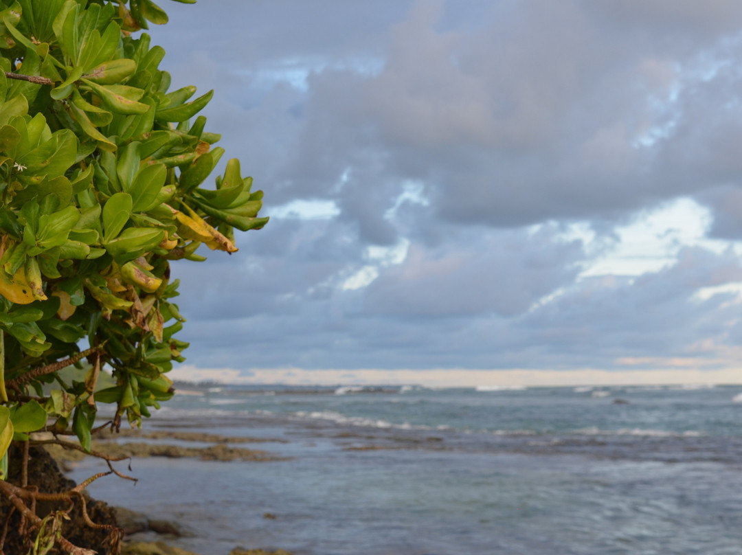 Parrot Rock-美蕊沙必去景点