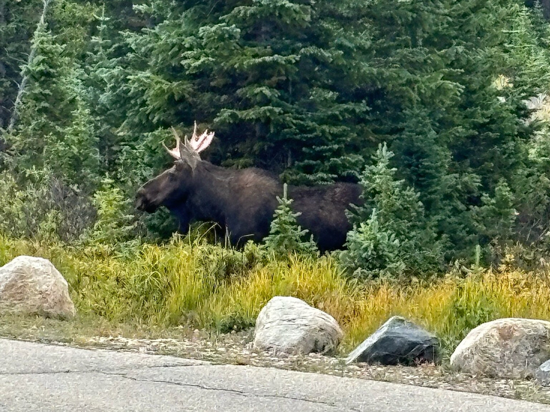 Lake Isabelle-Ward必去景点