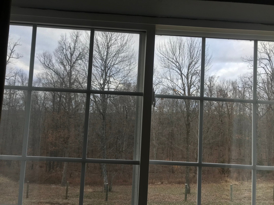 Patti's Inn & Suites主图