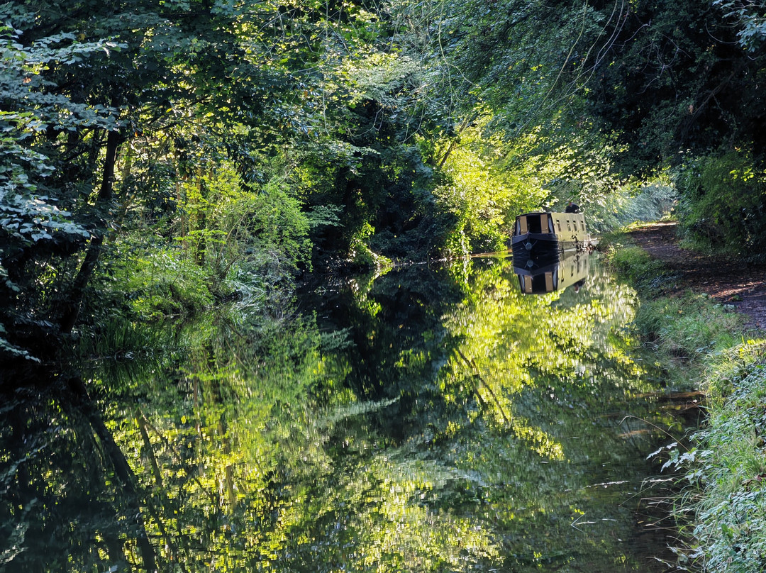 Chesterfield Canal Boat Company-West Stockwith必去景点
