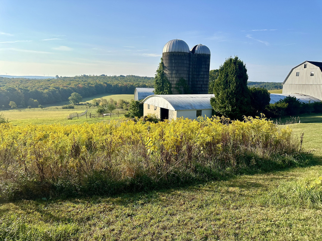 Haley Farm Inn and Retreat Center主图