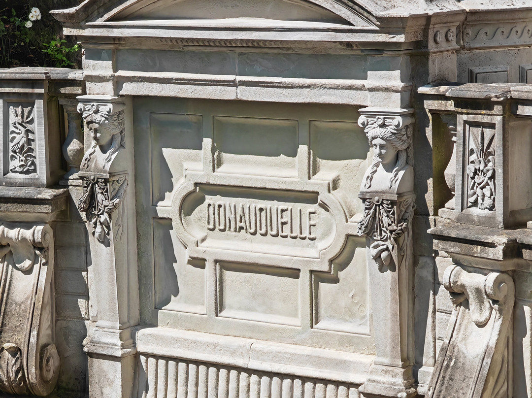 Source of the Danube景点图片