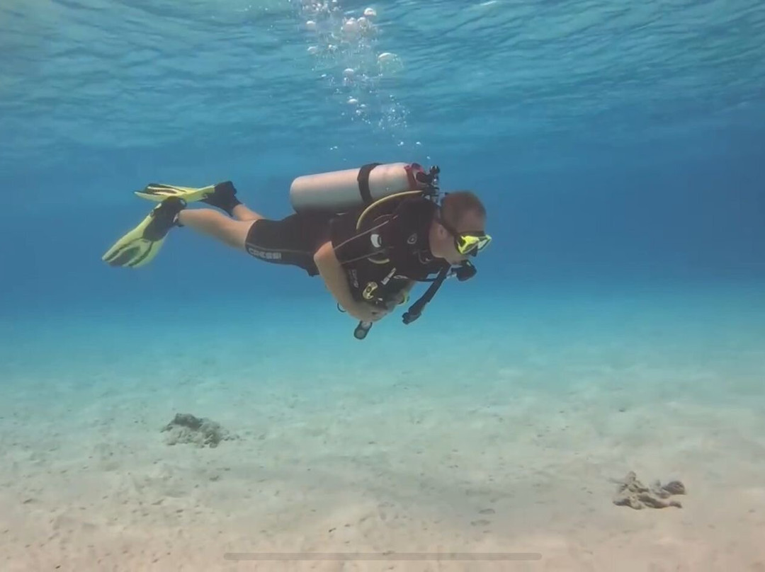 Red Snapper Diving-Dorp Sint Michiel必去景点