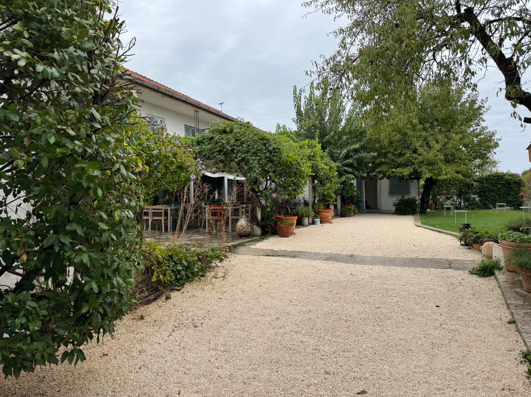 Bibich Winery-斯克拉丁必去景点
