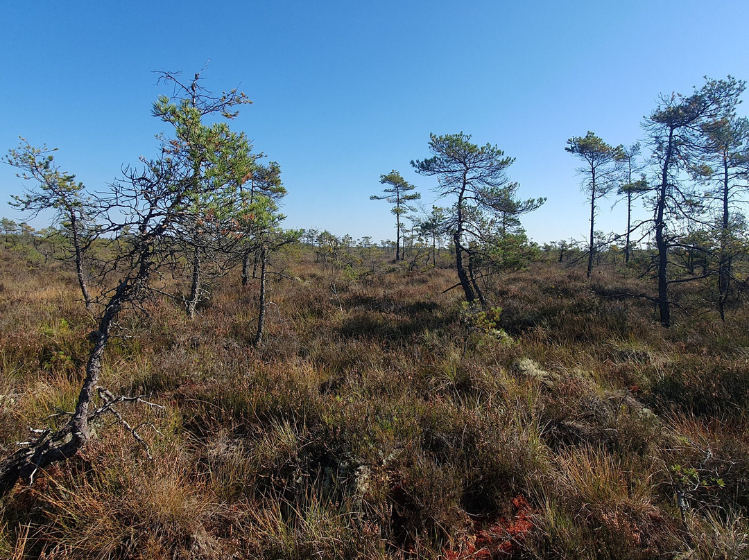 Store Mosse Nationalpark-Hillerstorp必去景点