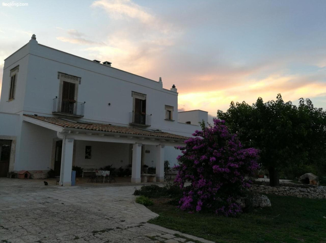 Tenuta Patruno Perniola主图