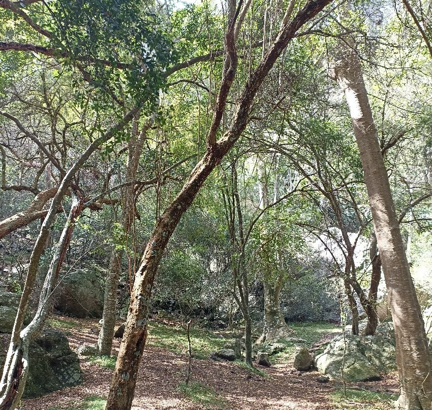 Cerro Arequita-Minas必去景点