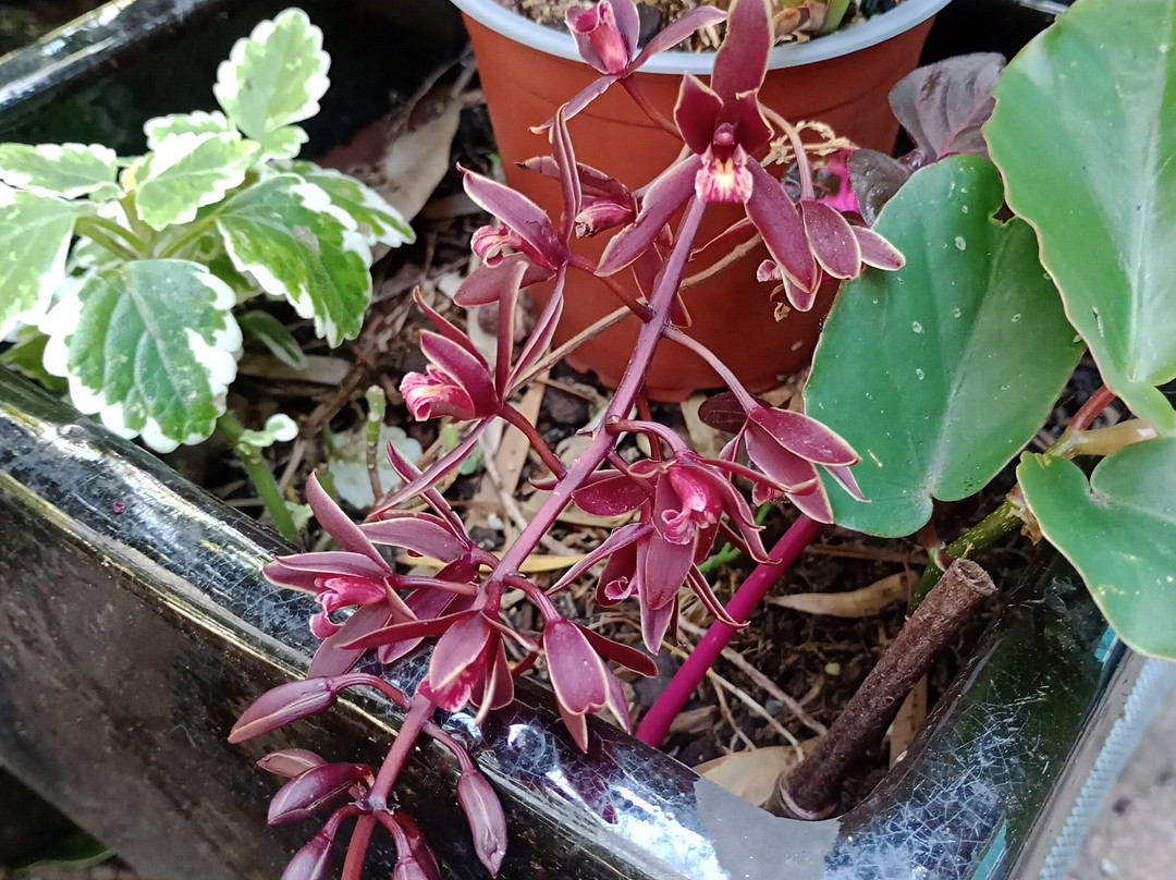 Gloucester Creatives Nsw