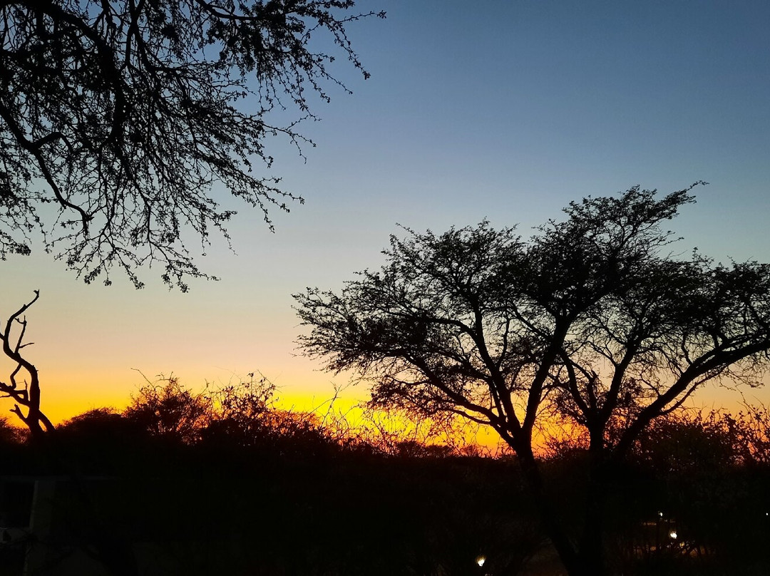 Suricate Kalahari Tented Lodge主图