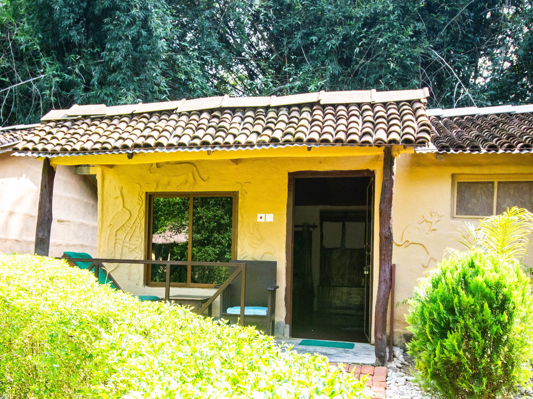 Wild Planet Eco Retreat主图