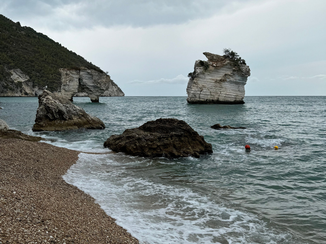 Baia delle Zagare景点图片