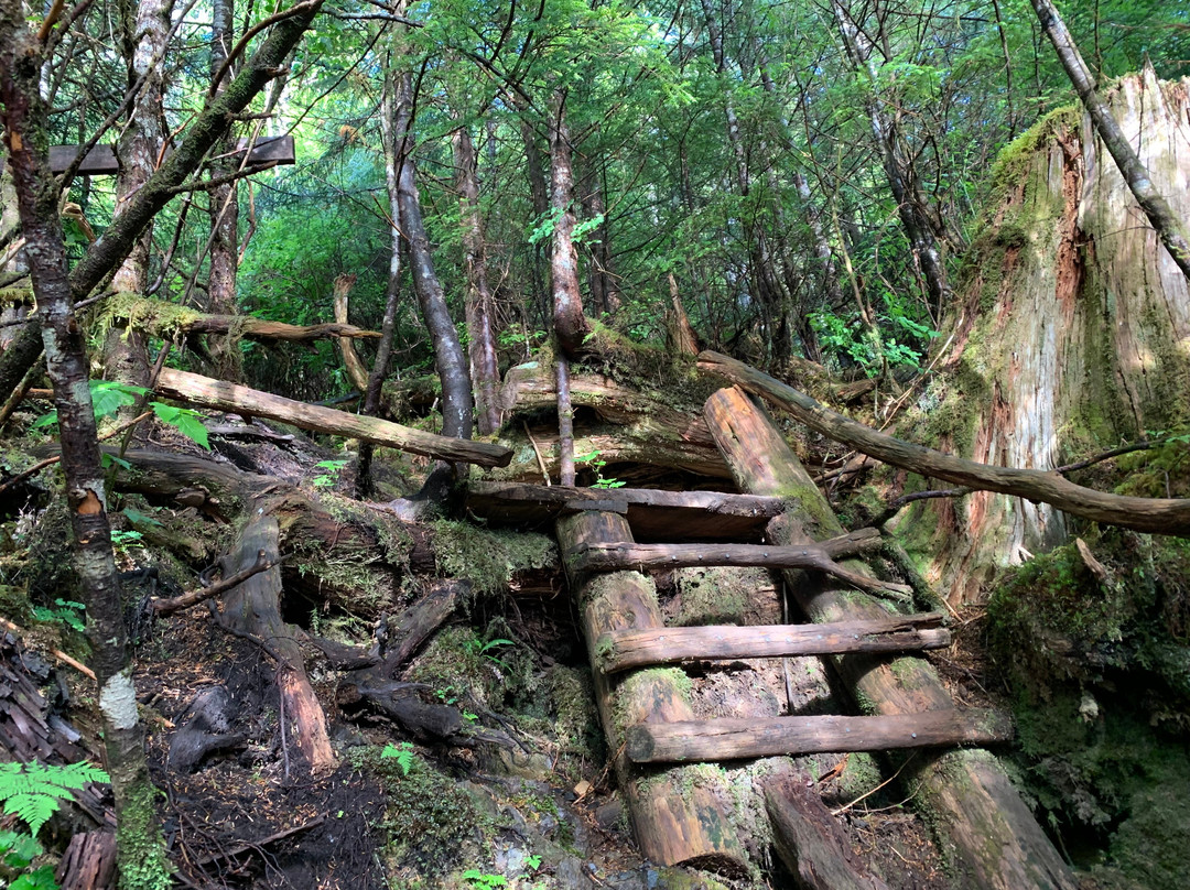 Sleeping Beauty Trail-Daajing Giids必去景点