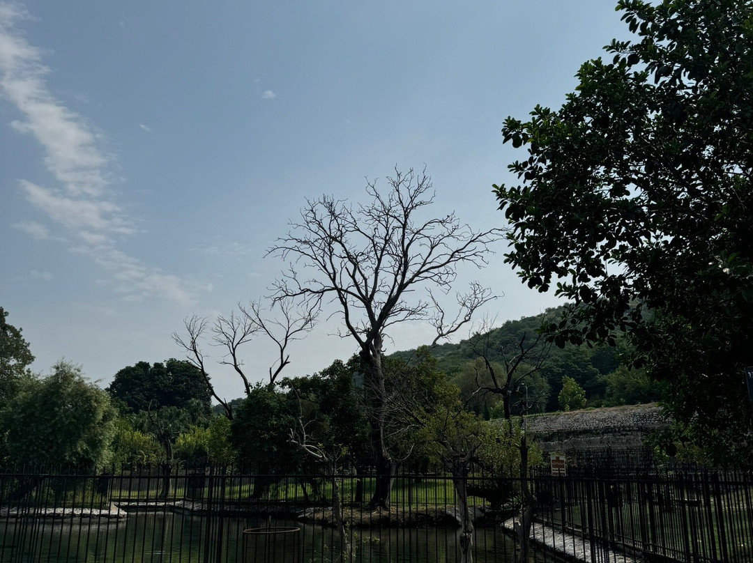 Mughal Gardens Wah-Wah Cantt必去景点