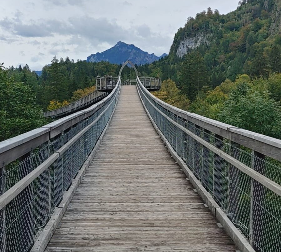 Baumkronenweg Ziegelwies景点图片