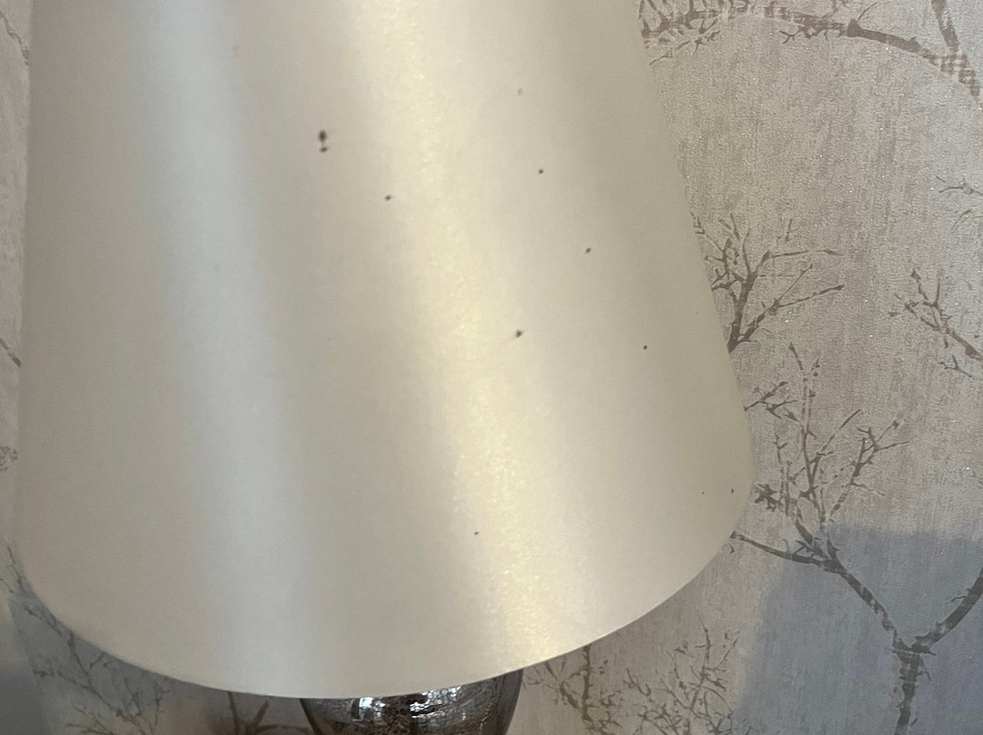 The Quay Bed & Breakfast主图